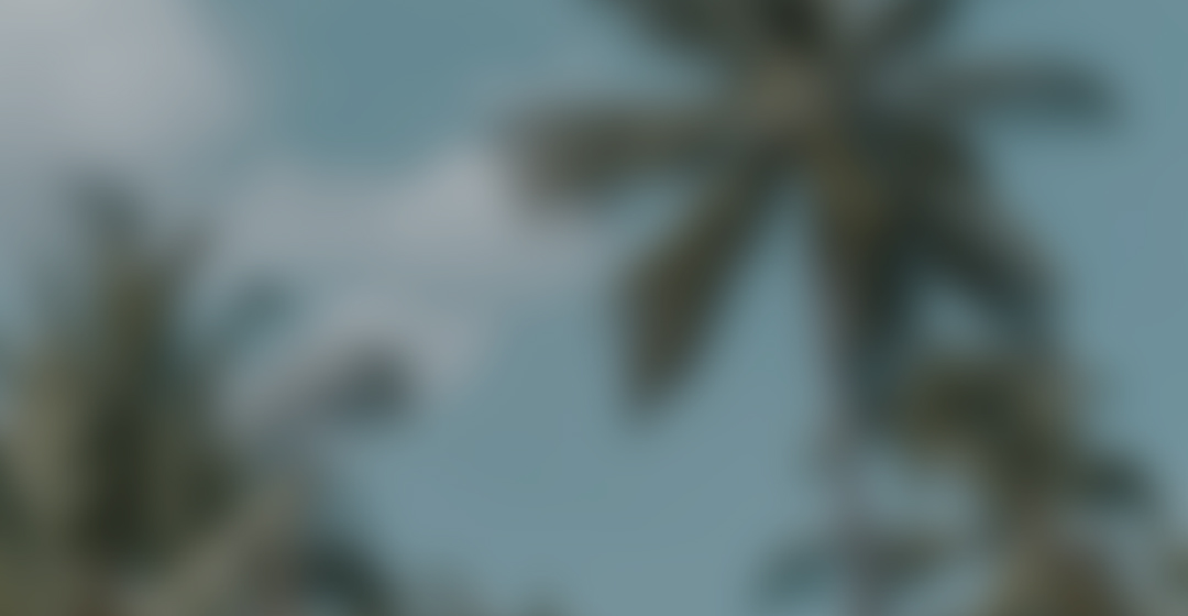 About Lovito Background